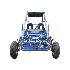 Kids Petrol Buggy 200cc