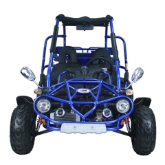 Eau de 300CC refroidi Buggy