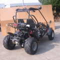 2 places Racing Buggy 150cc inverse noir 