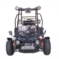 2 places Racing Buggy 150cc inverse noir 