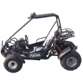 2 places Racing Buggy 150cc inverse noir 