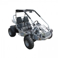 Adulte hors route Go Kart 300 XRS Silver 