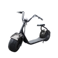 Grande roue Scooter électrique avec siège 1000W 