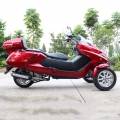 300CC 3 roues Trike Scooter de gaz 