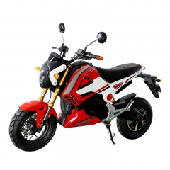 Adultes Electriec moto 1000W