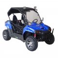 UTV Side par côtés 150cc Sport 